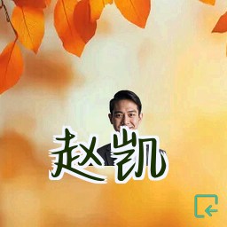 赵凯